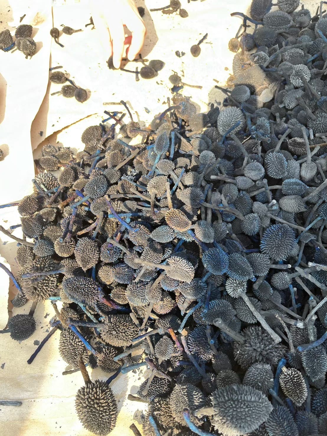 carbon_14.jpg